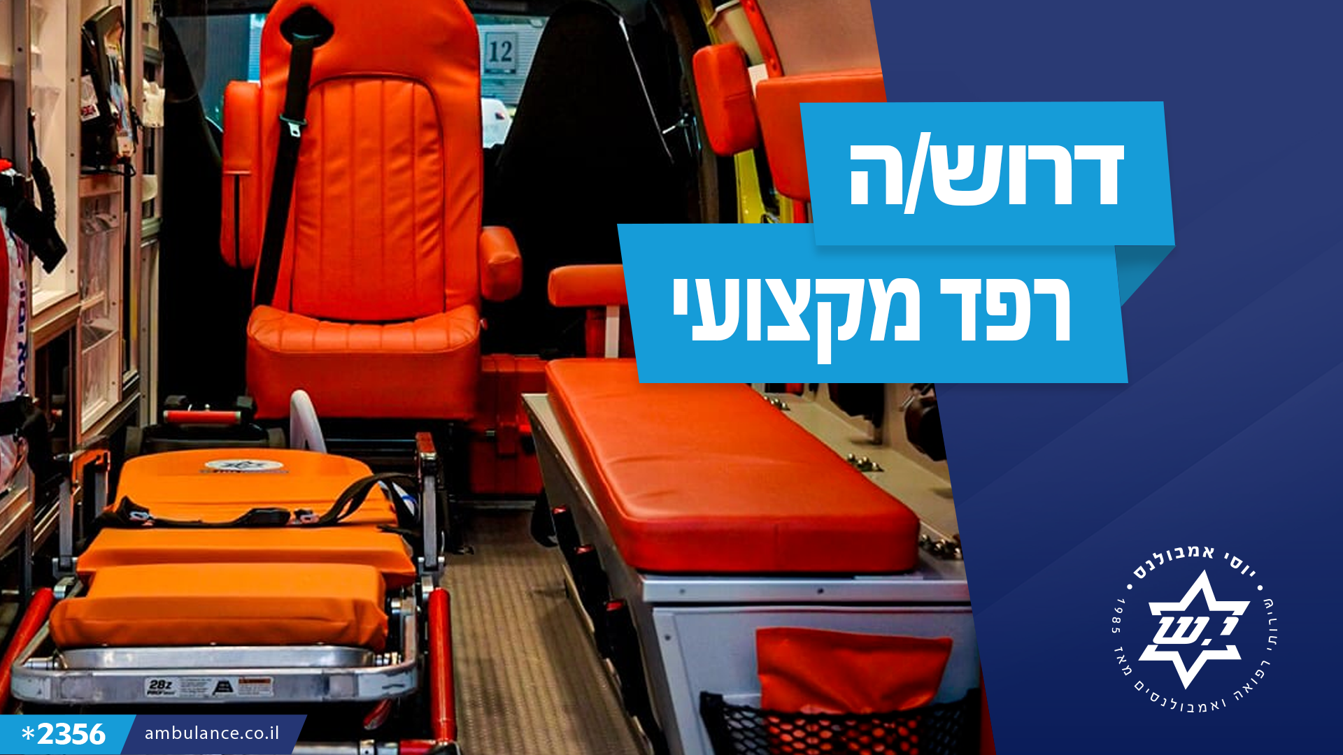 דרוש רפד מקצועי